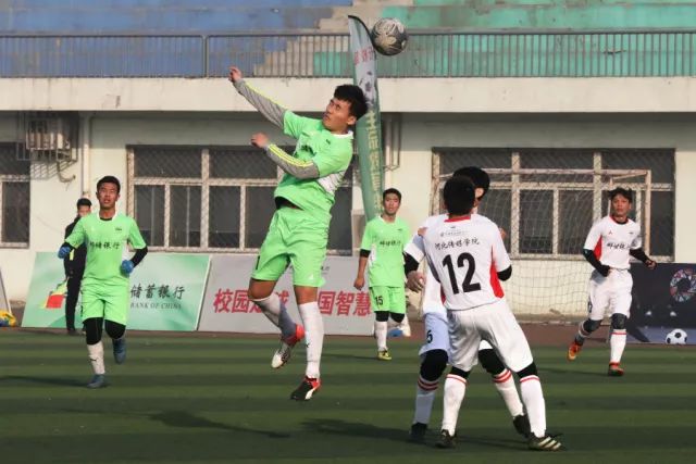 APP下载